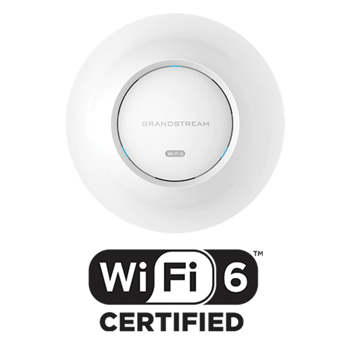 Grandstream GWN7664ELR WiFi 6 Outdoor Access Point - Image 3